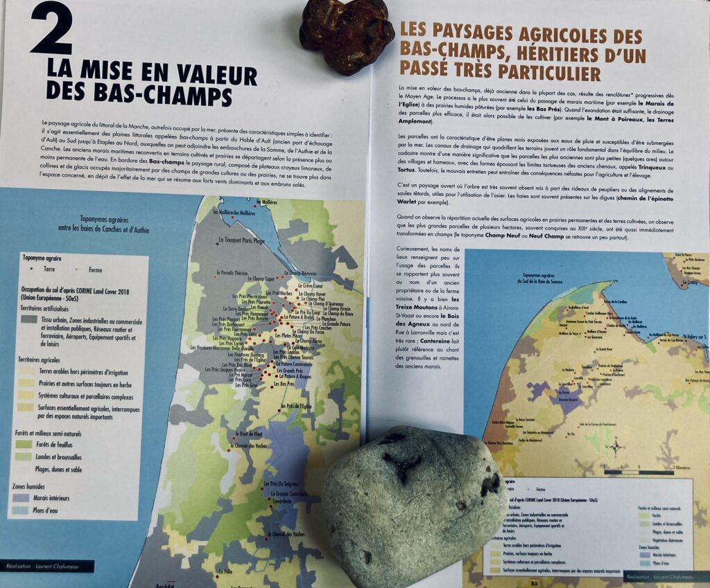 Chapitre « La mise en valeur des Bas-champs »